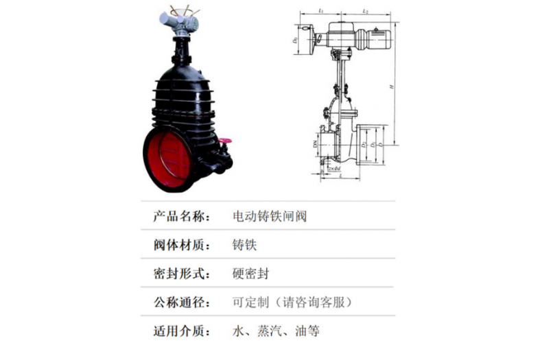 YC-LW2开云app官方官网-开云(中国)音叉料位开关